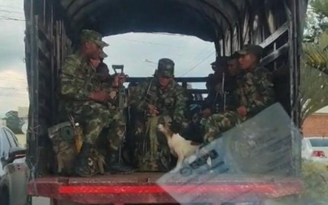 Soldados recogen a un perro que perseguía la unidad donde venían