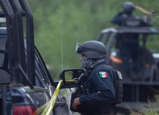Confirman detención de jefe de plaza en la Frontera Chica
