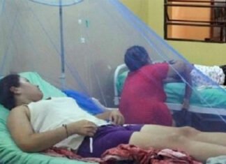 Importan de Venezuela a Tamaulipas paludismo